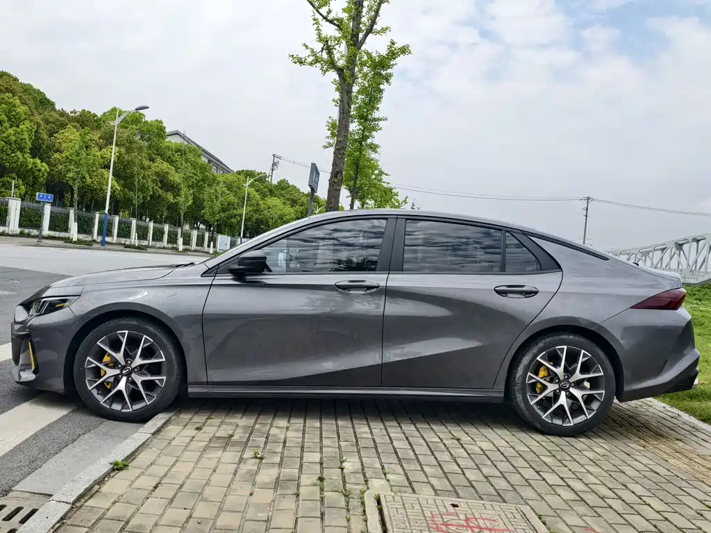 GAC Motor Shadow Leopard 2021 — фото 4