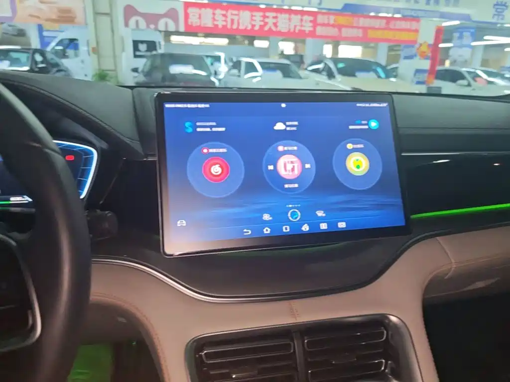 BYD PLUS New Energy 2024 — фото 13