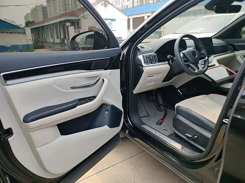 BYD PLUS New Energy 2023 — фото 16