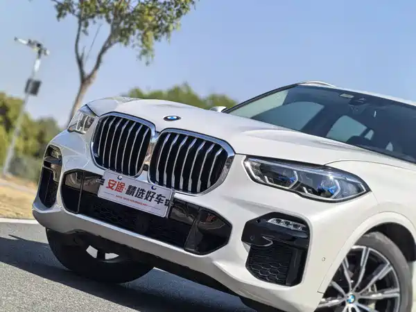 BMW X5 2019