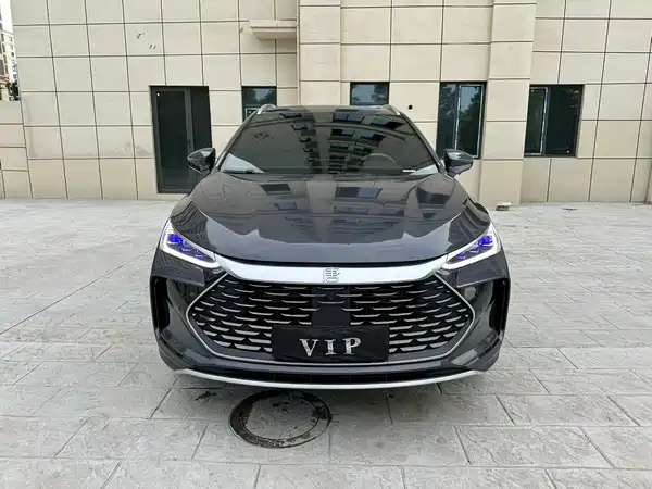 BYD Tang New Energy 2024