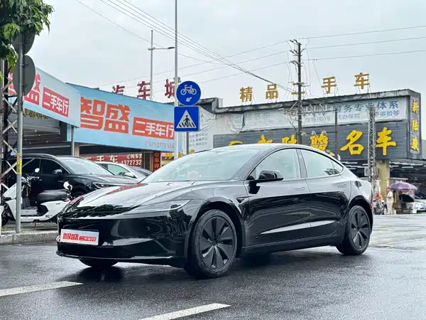 Tesla Model 3 2025
