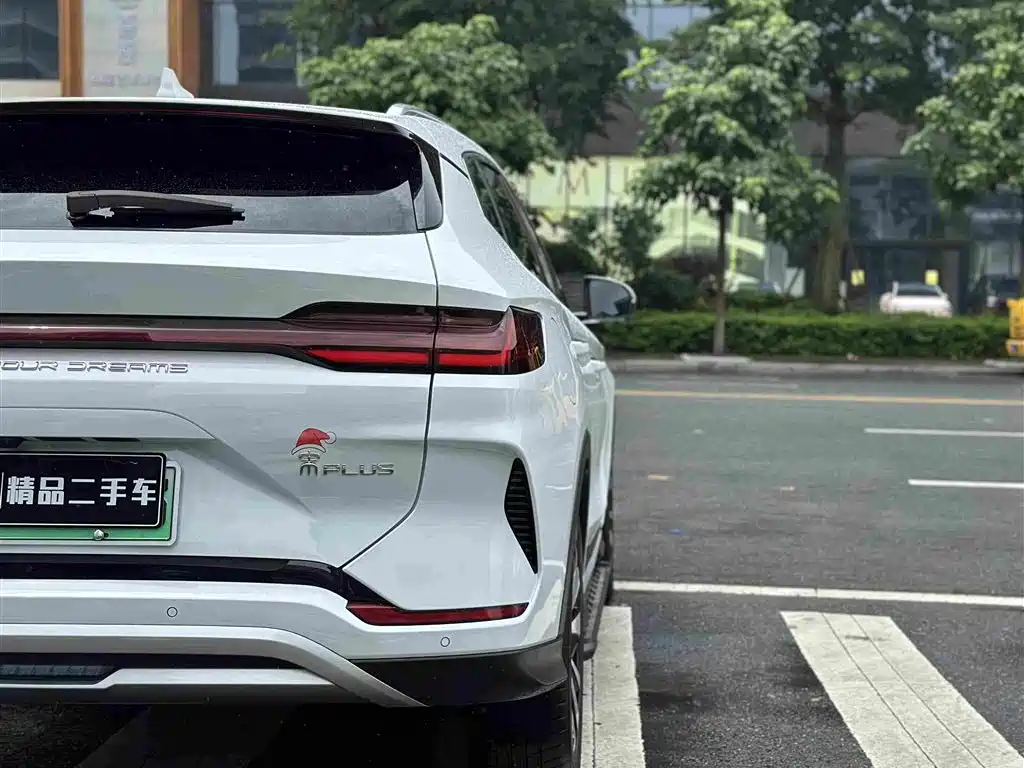 BYD PLUS New Energy 2023 — фото 11