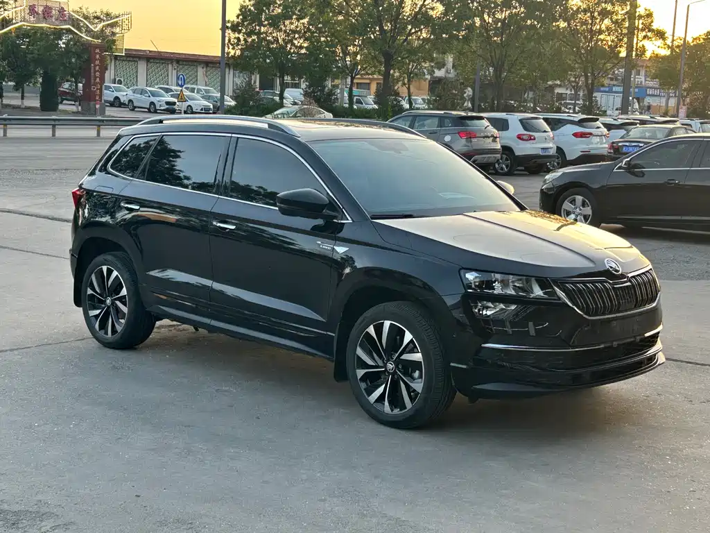 Skoda Karoq 2023 — фото 3