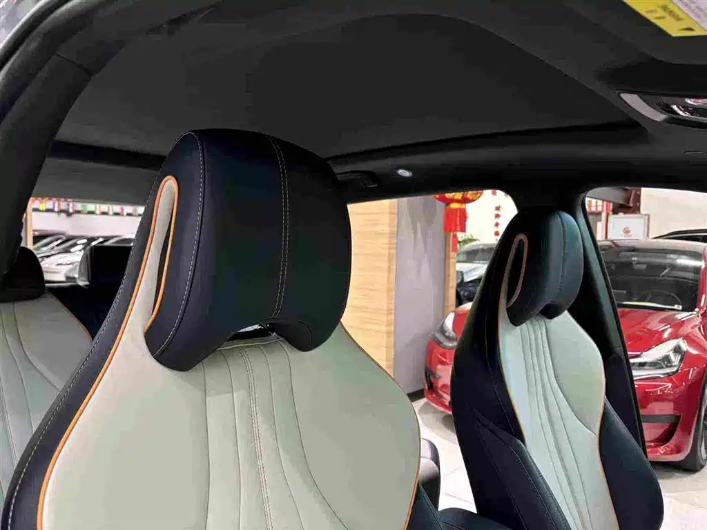 BYD Song PLUS New Energy 2024 — фото 25
