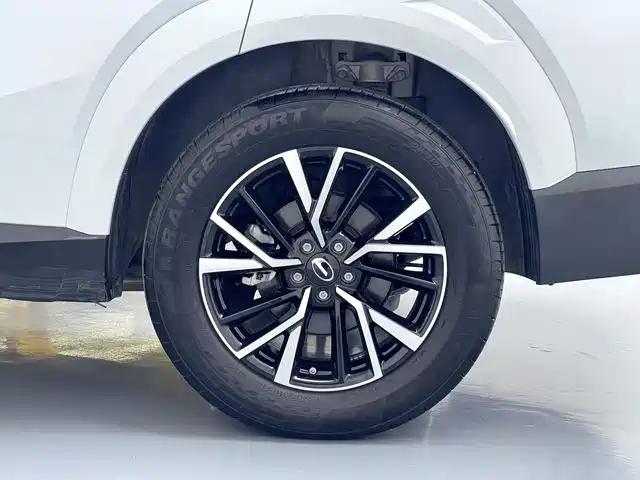 GAC Trumpchi GS4 2024 — фото 16