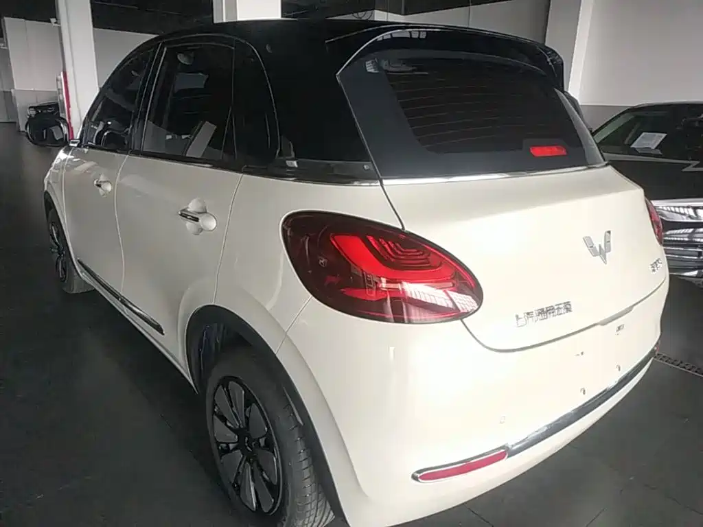 Wuling Bingo 2024