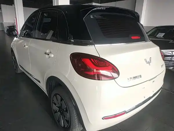Wuling Bingo 2024