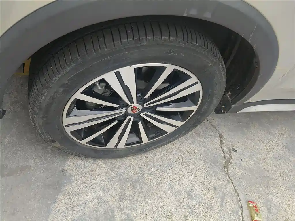 Roewe RX5 New Energy 2020 — фото 25