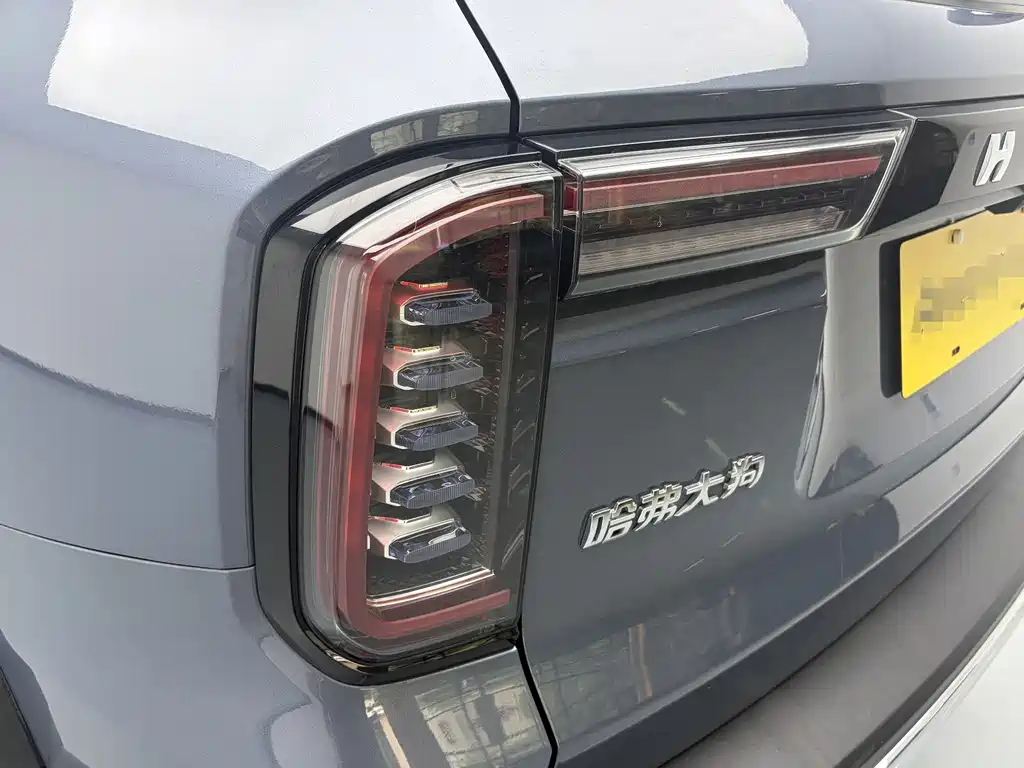 Haval Big Dog 2021 — фото 11