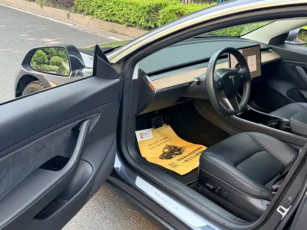 Tesla Model 3 2019