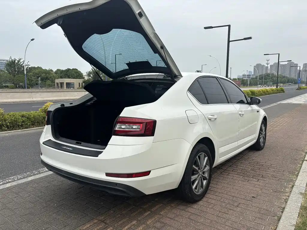 Skoda Octavia 2018 — фото 10