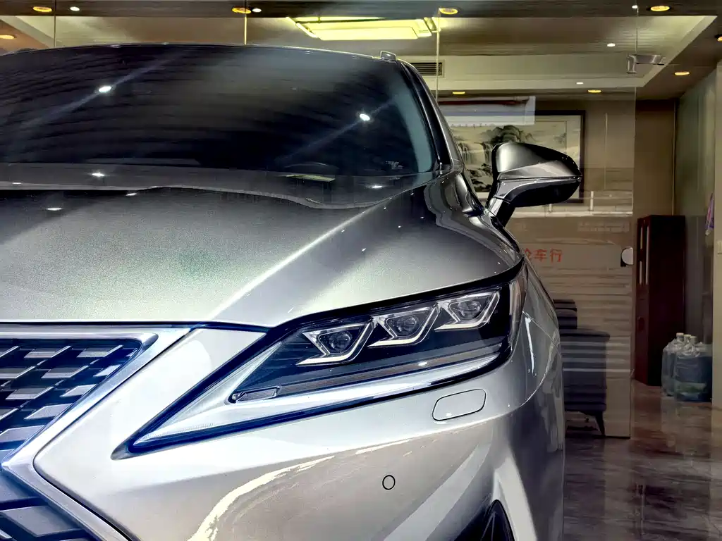 Lexus RX 2020 — фото 14