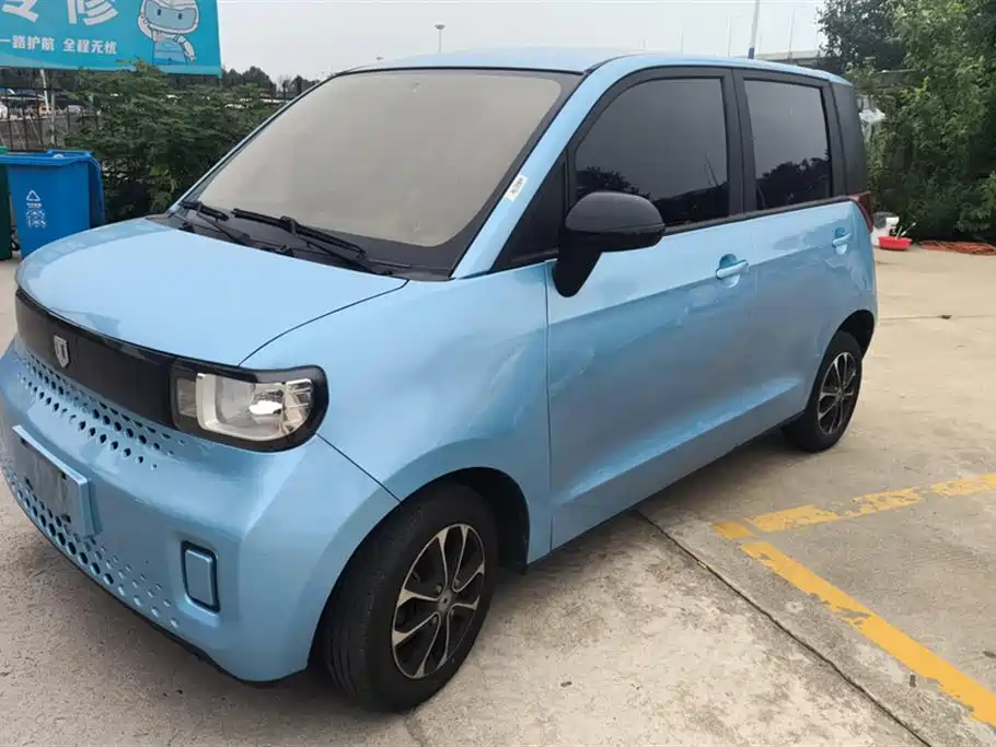 Bai Zhi Baizhi Big Bear 2023