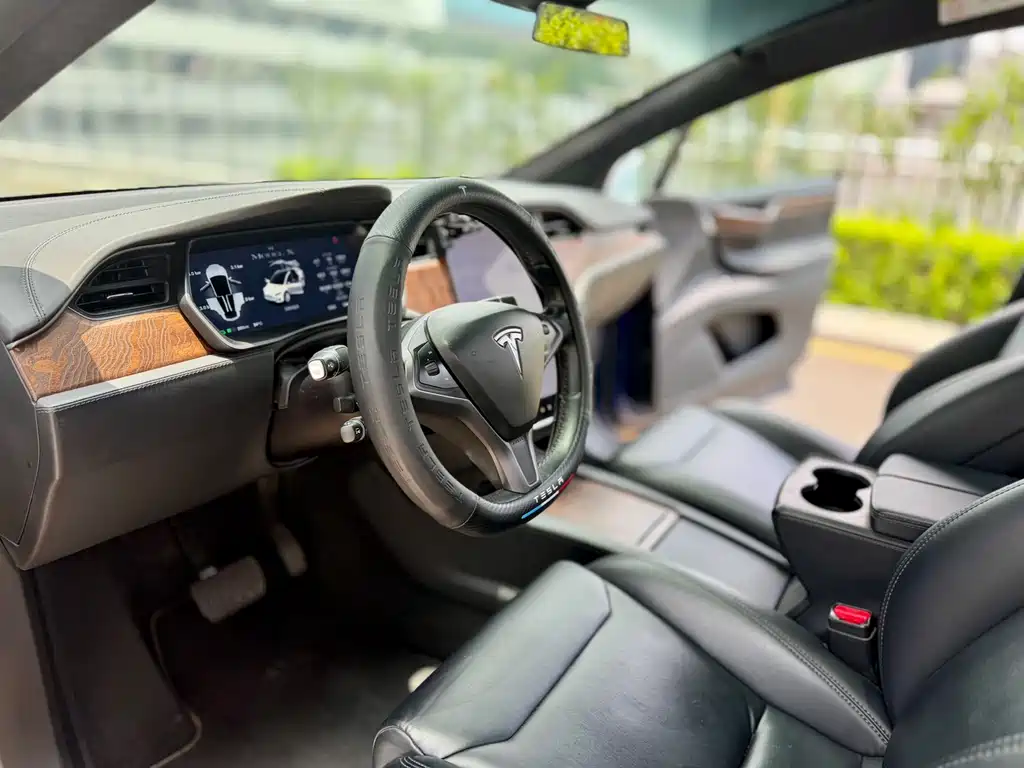 Tesla Model X 2019 — фото 11