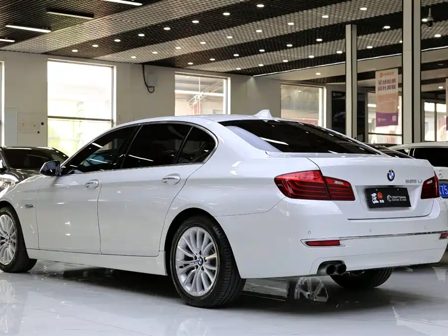 BMW 5 Series 2017 — фото 20