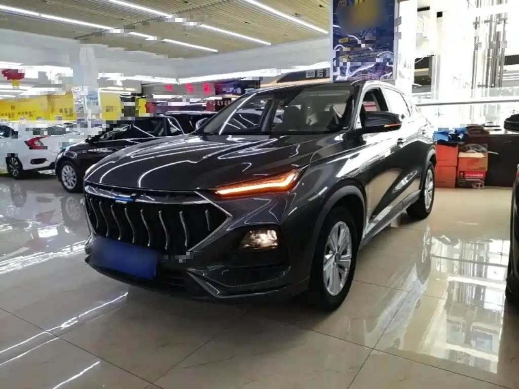 Oshan Oushang X5 2021