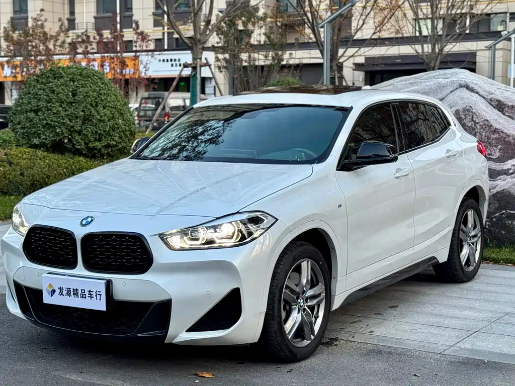 BMW X2 2023 — фото 1