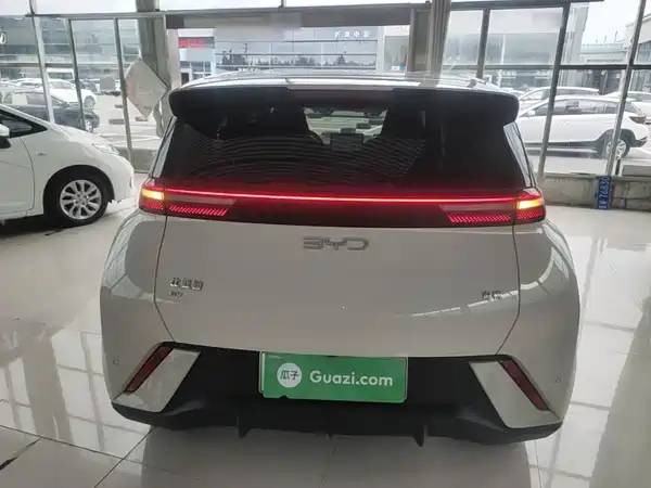 BYD Seagull 2024