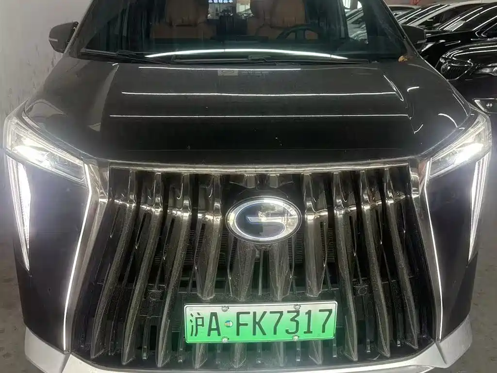 GAC Motor Trumpchi E9 2024