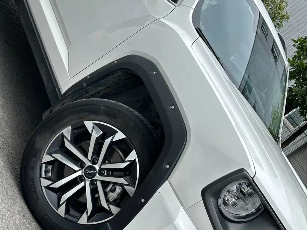 Haval Dog PLUS 2024 — фото 26