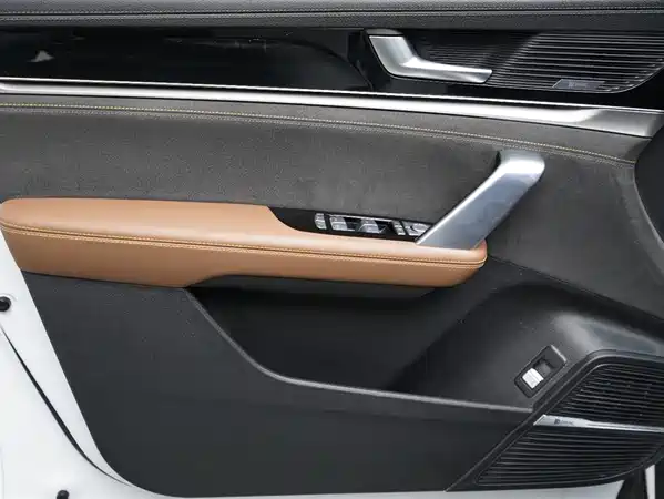 BYD Tang New Energy 2021