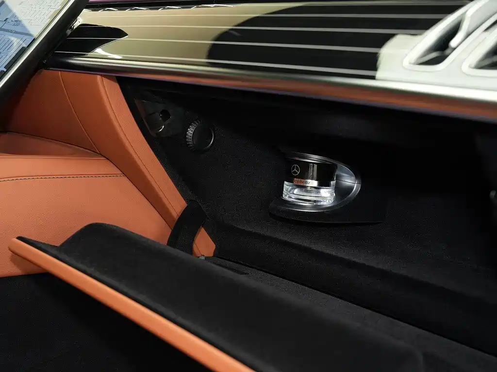 Mercedes-Benz S-Class 2021 — фото 15