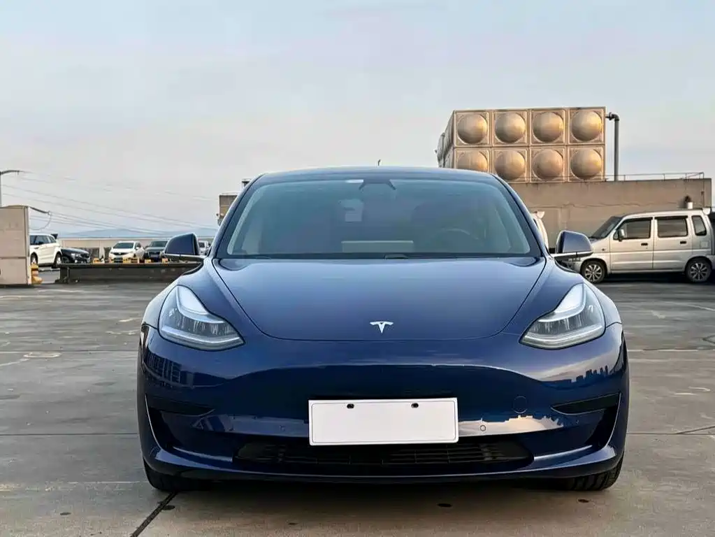 Tesla Model 3 2020 — фото 2