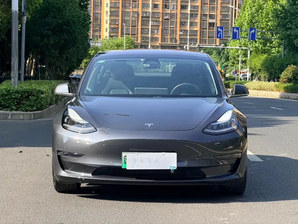 Tesla Model 3 2019