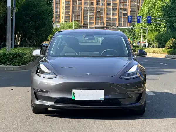 Tesla Model 3 2019