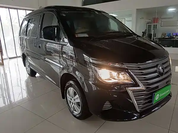 Dongfeng Lingzhi 2024
