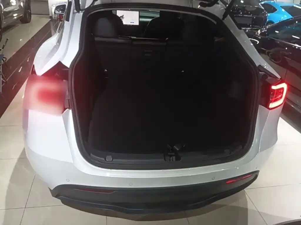 Tesla Model Y 2021 — фото 19