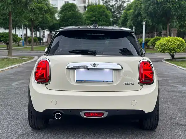 MINI 2019