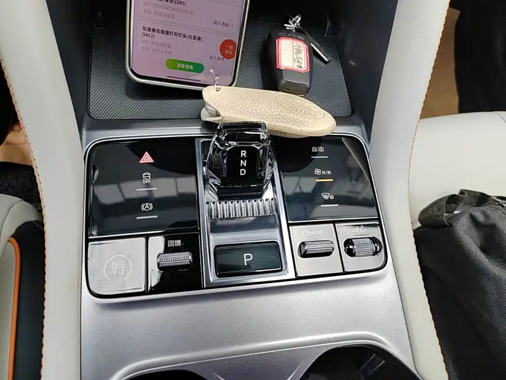 BYD Song PLUS New Energy 2024 — фото 14