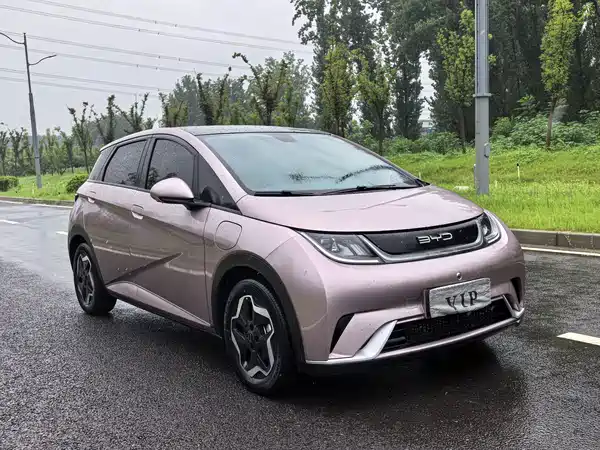 BYD Dolphin 2022