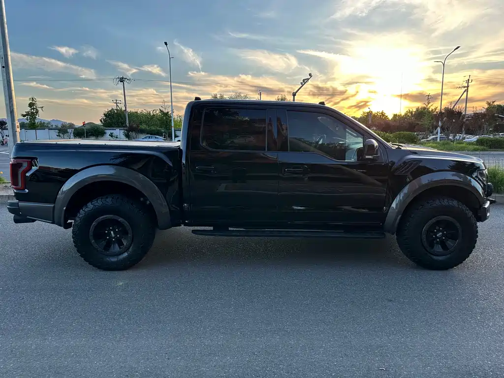 Ford F-150 Raptor 2017 — фото 7