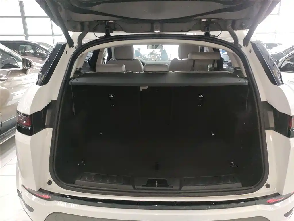 Land Rover Evoque 2020 — фото 19