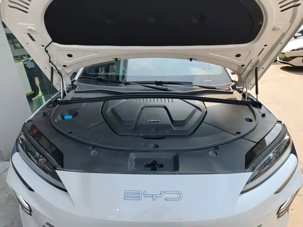 BYD PLUS New Energy 2024 — фото 20