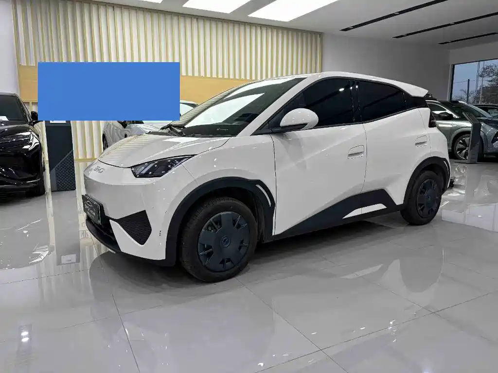 BYD Seagull 2025