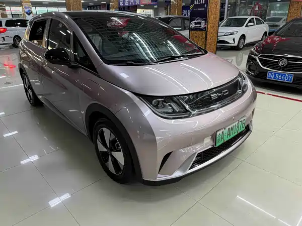 BYD Dolphin 2023