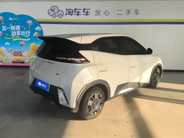 BYD Seagull 2024