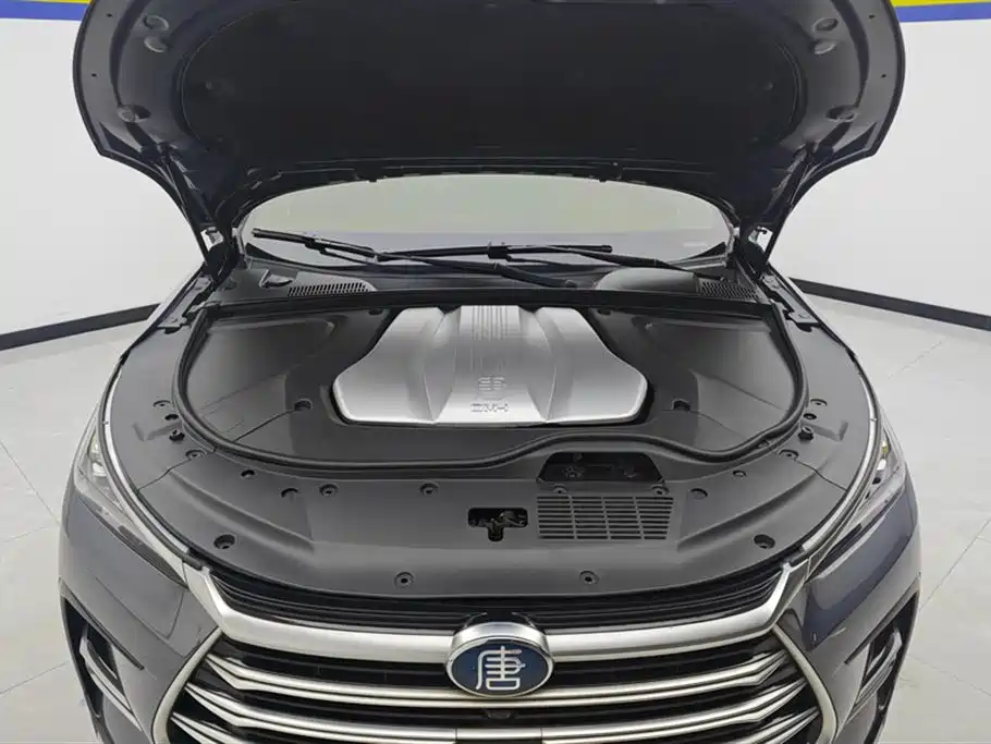 BYD Tang New Energy 2021 — фото 10