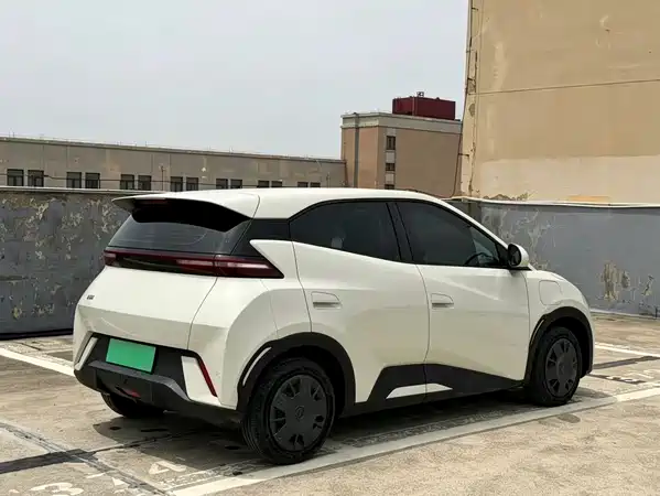 BYD Seagull 2024
