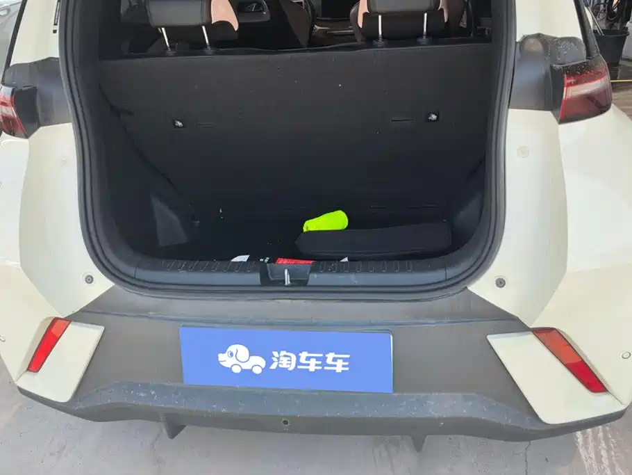 BYD Seagull 2024