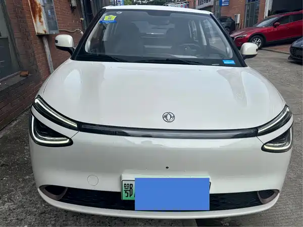Dongfeng Nano 01 2025
