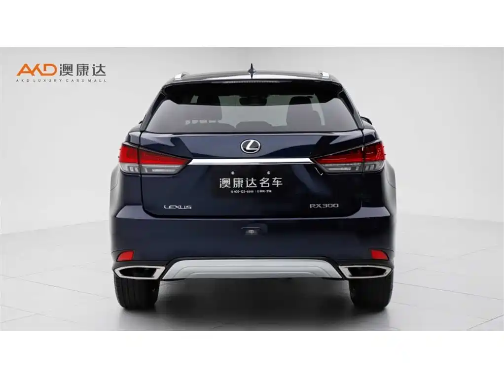 Lexus RX 2020 — фото 4