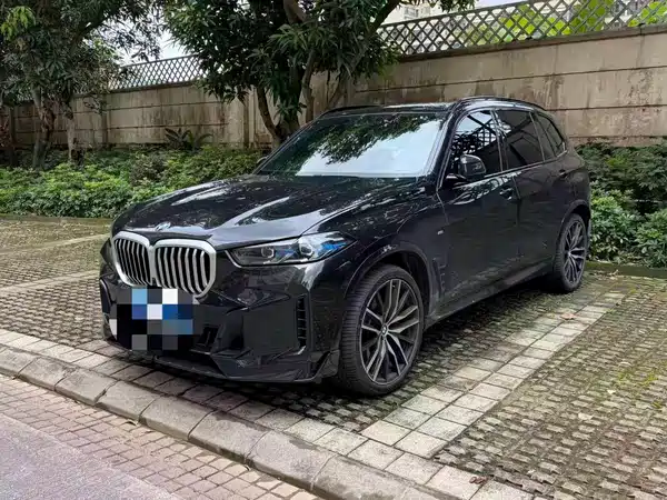 BMW X5 2024