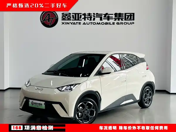 BYD Seagull 2024