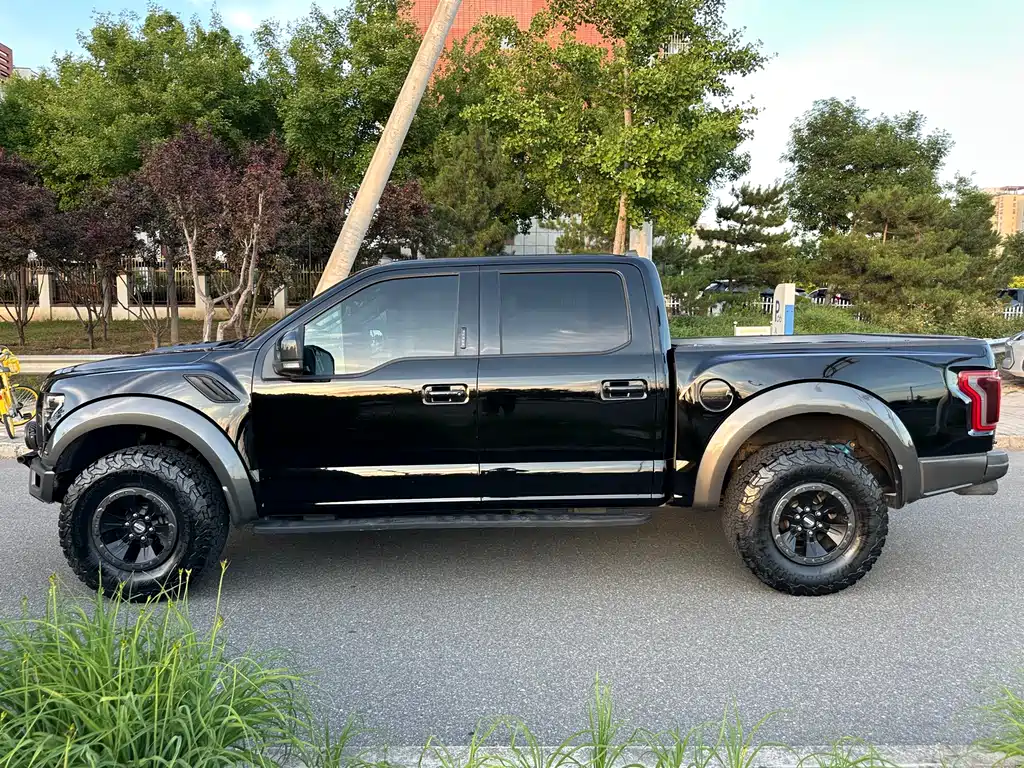 Ford F-150 Raptor 2017 — фото 8