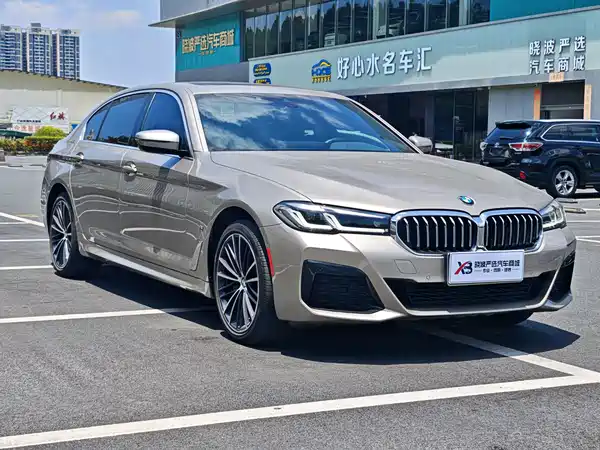 BMW 5 Series 2021